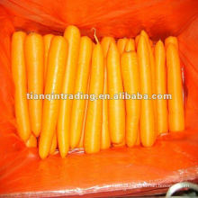 Zanahoria en cartones